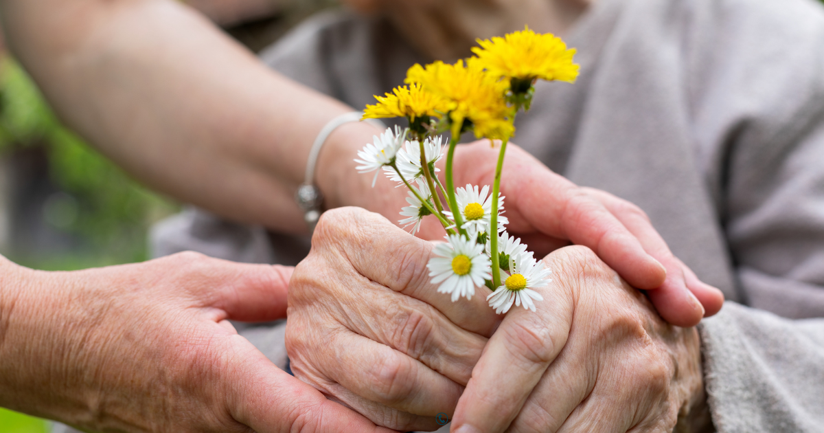 Senior Home Care Services