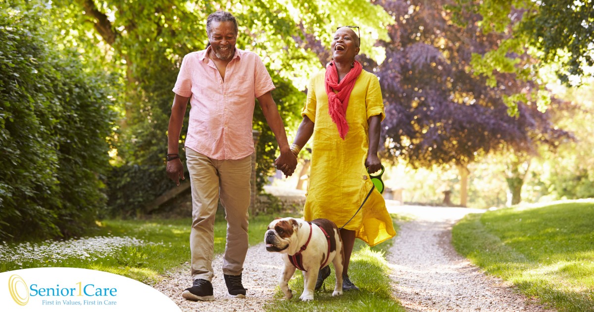 Walks, like this older couple and their dog are engaged in, are great activities for seniors in the springtime.