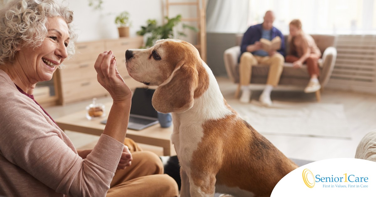 An older woman smiles while giving a dog a treat, representing the joy that dogs can bring.