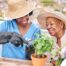 Caregiver and Senior gardening as part of companion care activities.